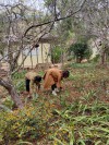Tổ văn phòng tổ chức lao động – vệ sinh vườn hoa xây dựng cảnh quan trường học