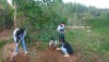 Cán bộ giáo viên và nhân viên, học sinh nhà trường THCS Thị trấn hưởng ứng phong trào “Mùa xuân là tết trồng cây”.