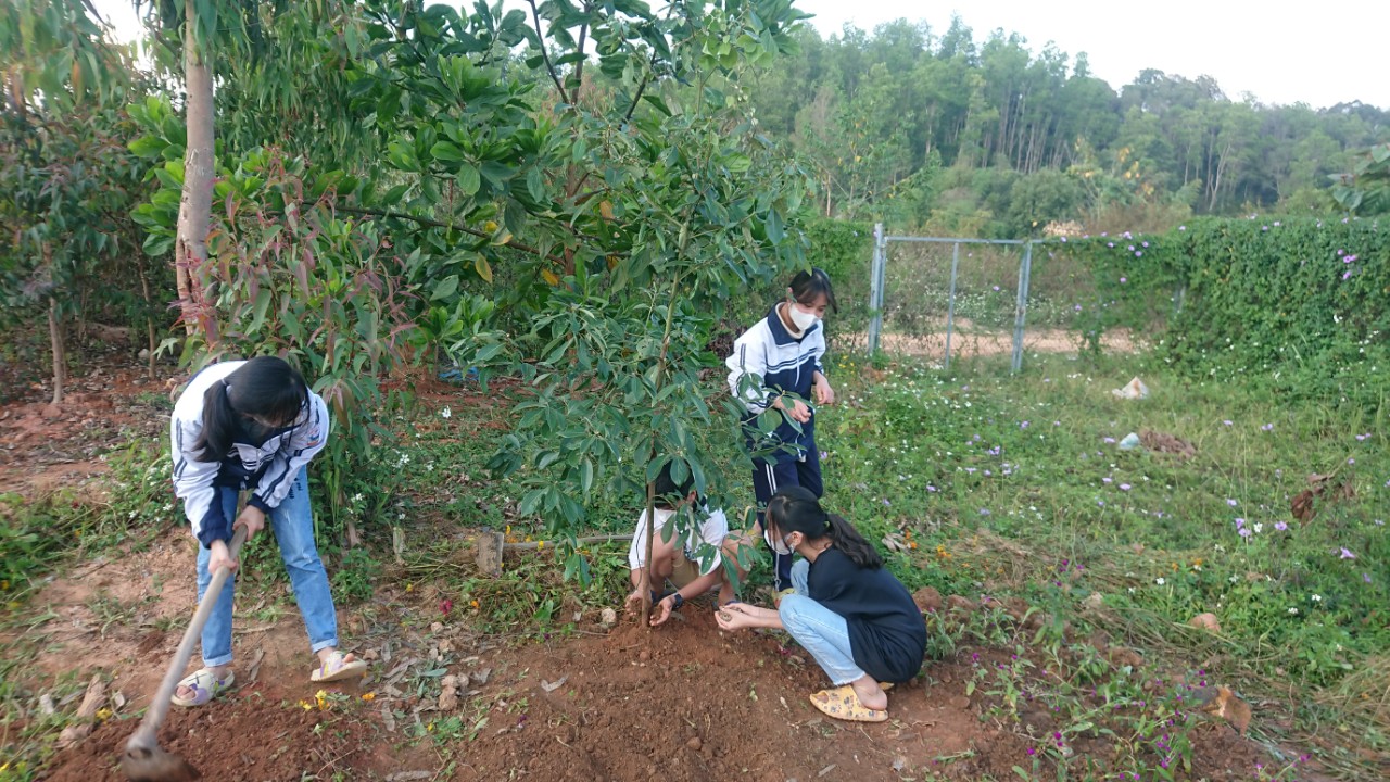 Cán bộ giáo viên và nhân viên, học sinh nhà trường THCS Thị trấn hưởng ứng phong trào “Mùa xuân là tết trồng cây”.