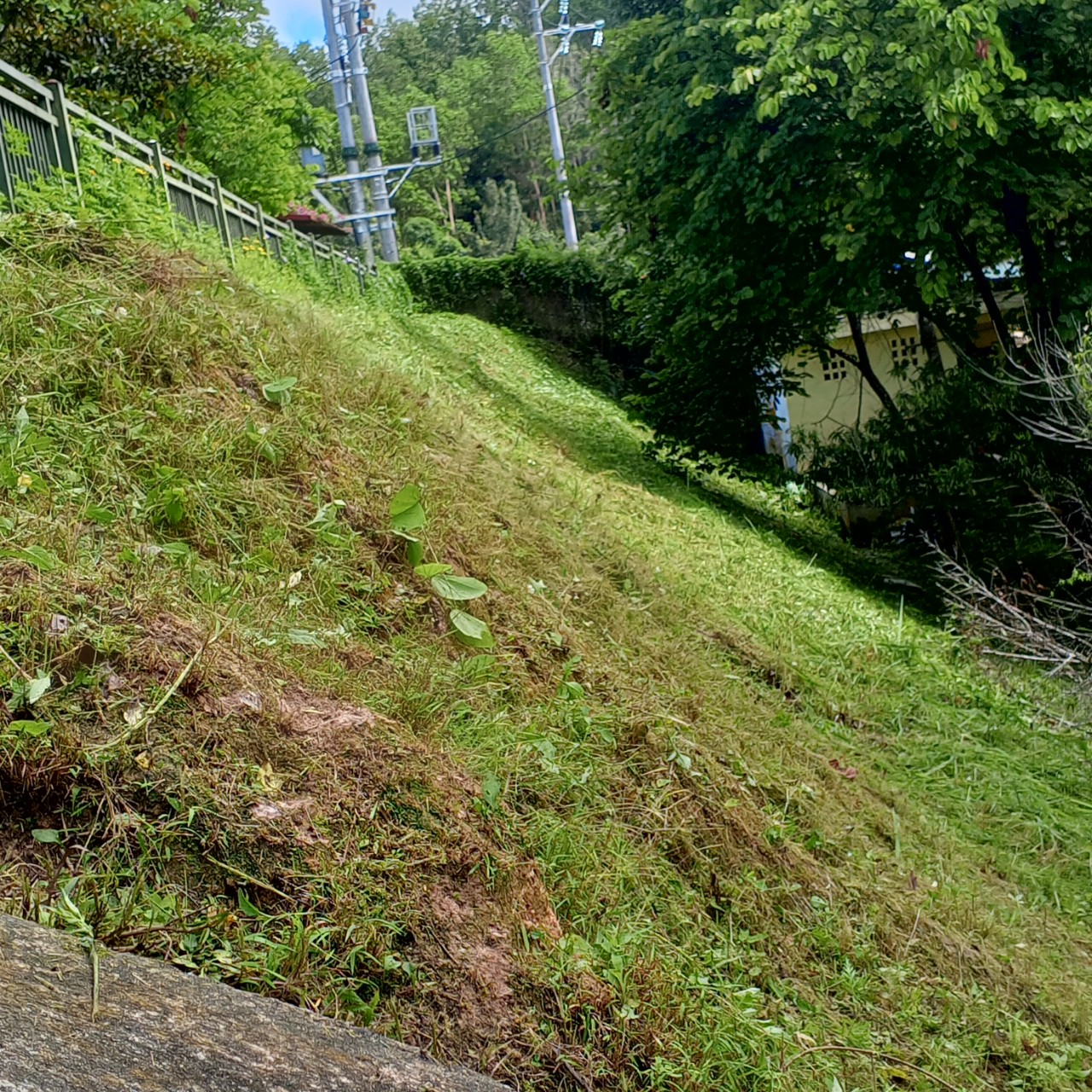 ảnh 6
